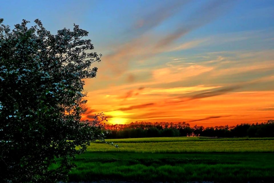 Działka budowlana Węgrzce