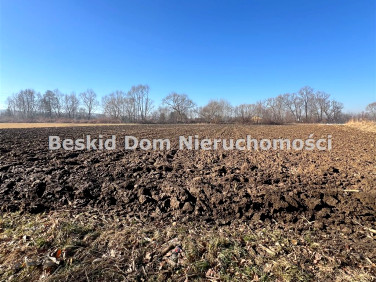 Działka siedliskowa Mazańcowice