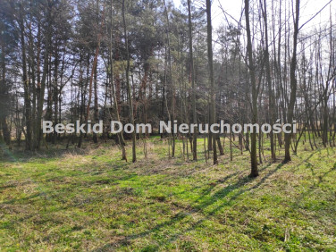 Działka rekreacyjna Dankowice