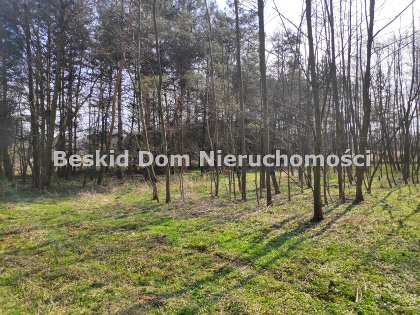 Działka rekreacyjna Dankowice