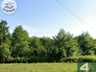 Działka przy lesie