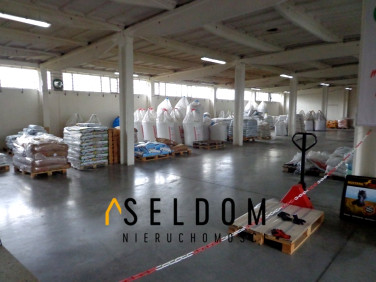 Budynek użytkowy Prószków