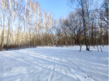 Działka budowlana Milanówek