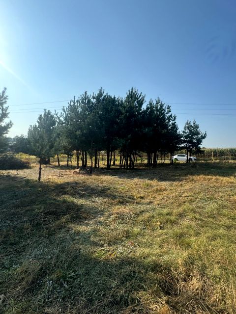 Ogrodzona działka sprzedam