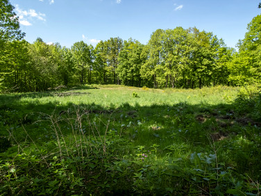 Działka Jarnołtówek