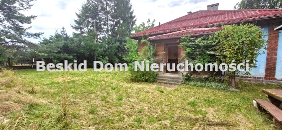 Dom Lipowa sprzedaż