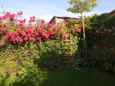 Mieszkanie Nowy Dwór Mazowiecki sprzedaż