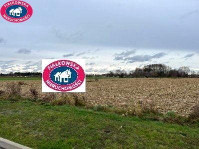 Działka przemysłowa Wiskitki