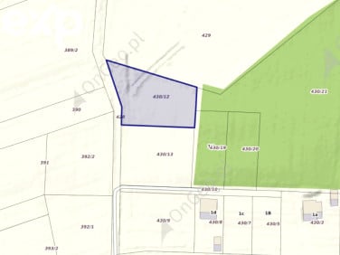 Działka budowlana Drzewce