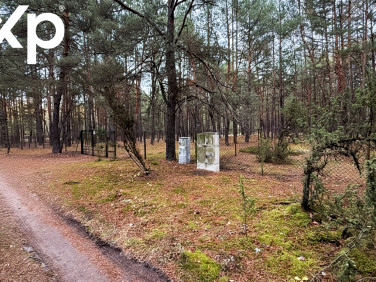 Działka siedliskowa Huta Podgórna