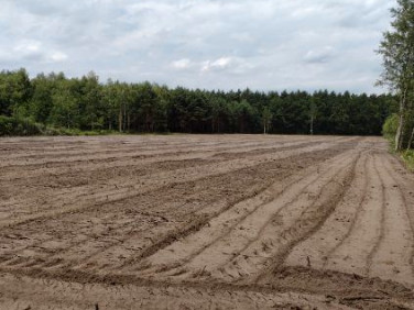 Działka inna Antoniew