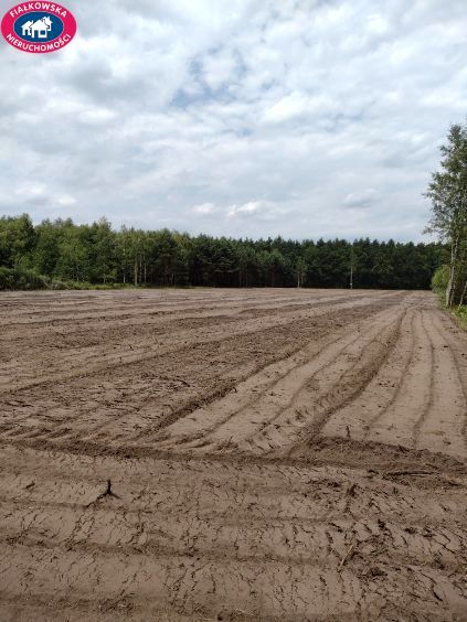 Działka inna Antoniew