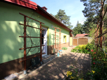 Dom wolnostojący sprzedaż