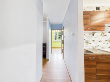 Mieszkanie przy lesie