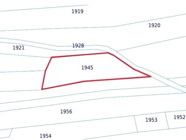Działka leśna Królówka