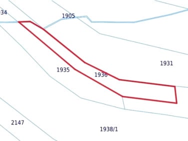 Działka leśna Królówka