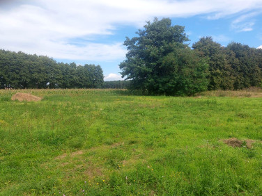 Pusta działka Henrykowo