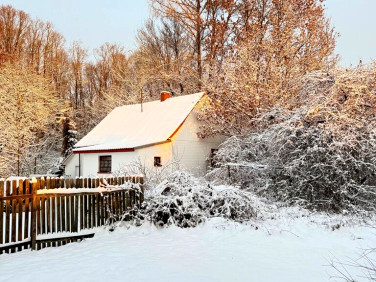 Dom Rejowiec sprzedaż