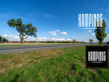 Działka usługowa Palmiry