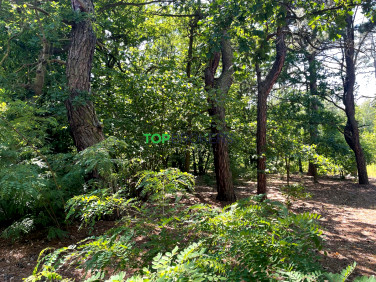 Działka budowlana Józefów