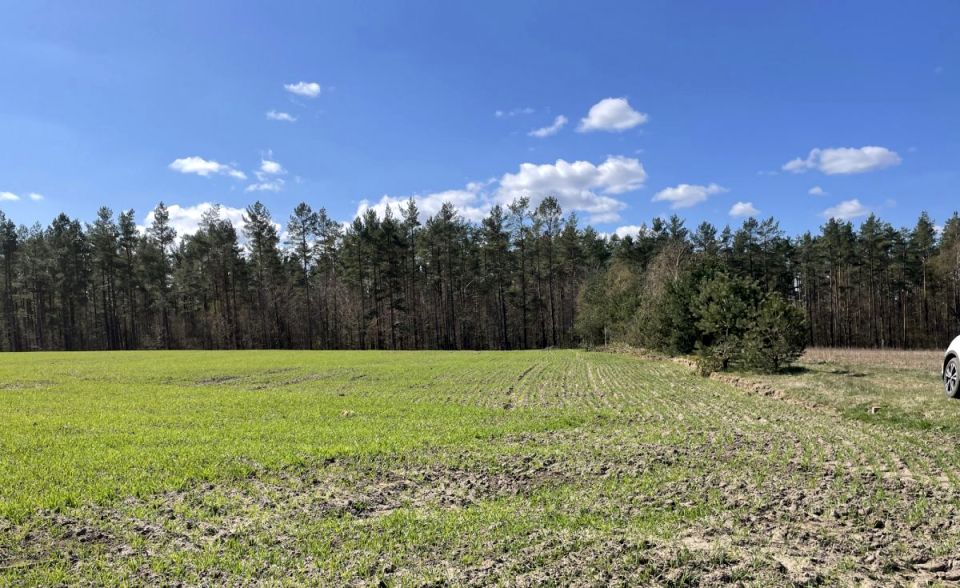 Działka siedliskowa Karwno