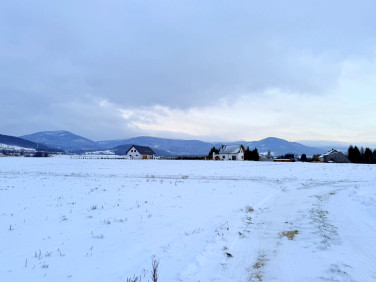 Działka budowlana Pławnica