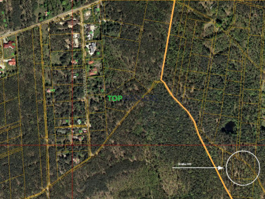 Działka leśna Warszawa