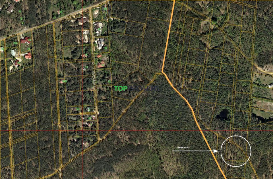 Działka leśna Warszawa