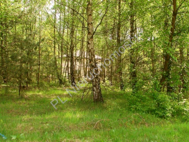 Działka budowlana Książenice