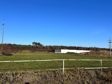 Ogrodzona działka Ostrolesie