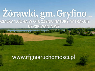 Działka budowlana Żórawki