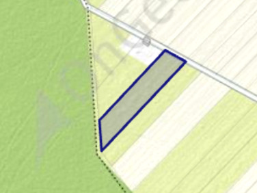 Działka budowlana Brzechów