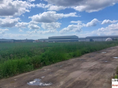 Działka usługowa Szewce