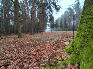 Działka budowlana Nadarzyn