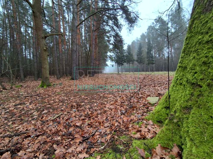 Działka budowlana Nadarzyn