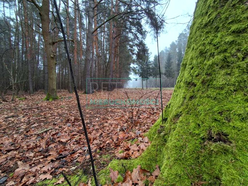 Działka budowlana Nadarzyn sprzedam