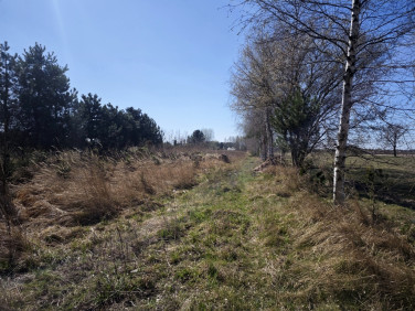 Działka budowlana sprzedam