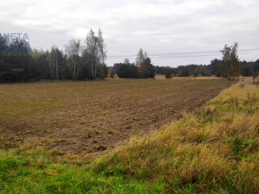 Działka usługowa Budki Żelazowskie