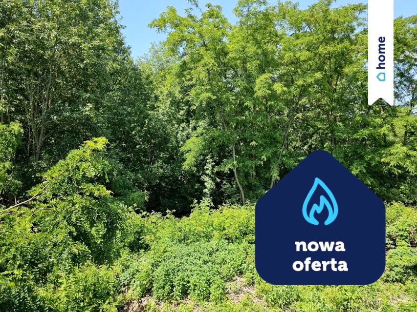 Działka siedliskowa Miałkie sprzedam