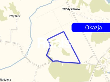 Działka inwestycyjna Nadzieja