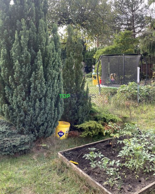 Działka rekreacyjna Kierszek