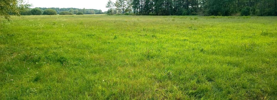 Działka Czubajowizna