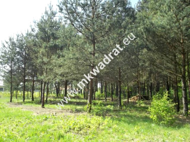 Działka budowlana Stara Wieś