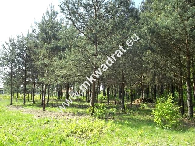 Działka budowlana Stara Wieś