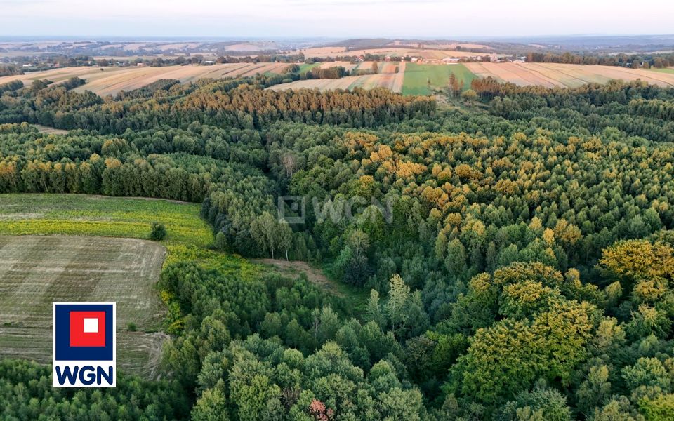 Działka rolna Antolka