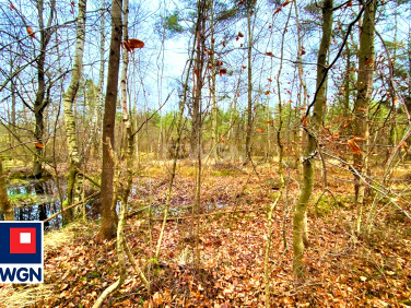 Działka rekreacyjna Szemudzka Huta