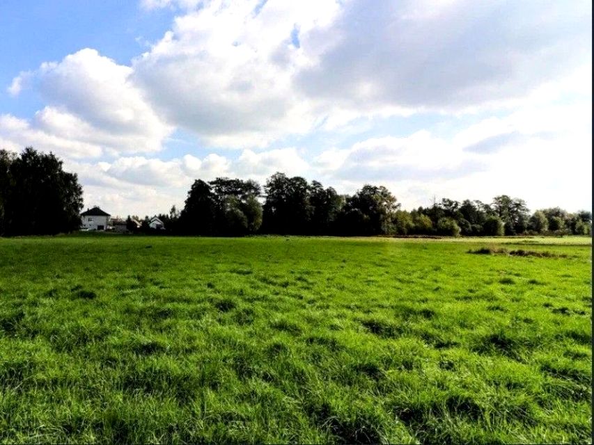 Działka budowlana Cholerzyn