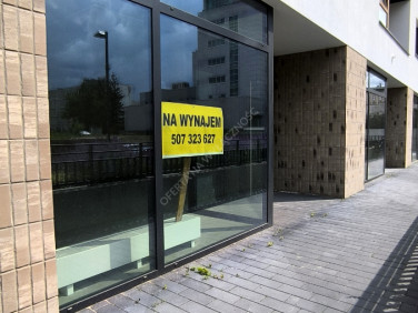 Lokal Poznań wynajem