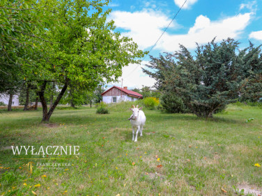 Działka Stara Wieś