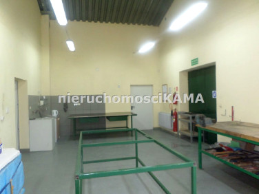 Budynek użytkowy Bielsko-Biała wynajem